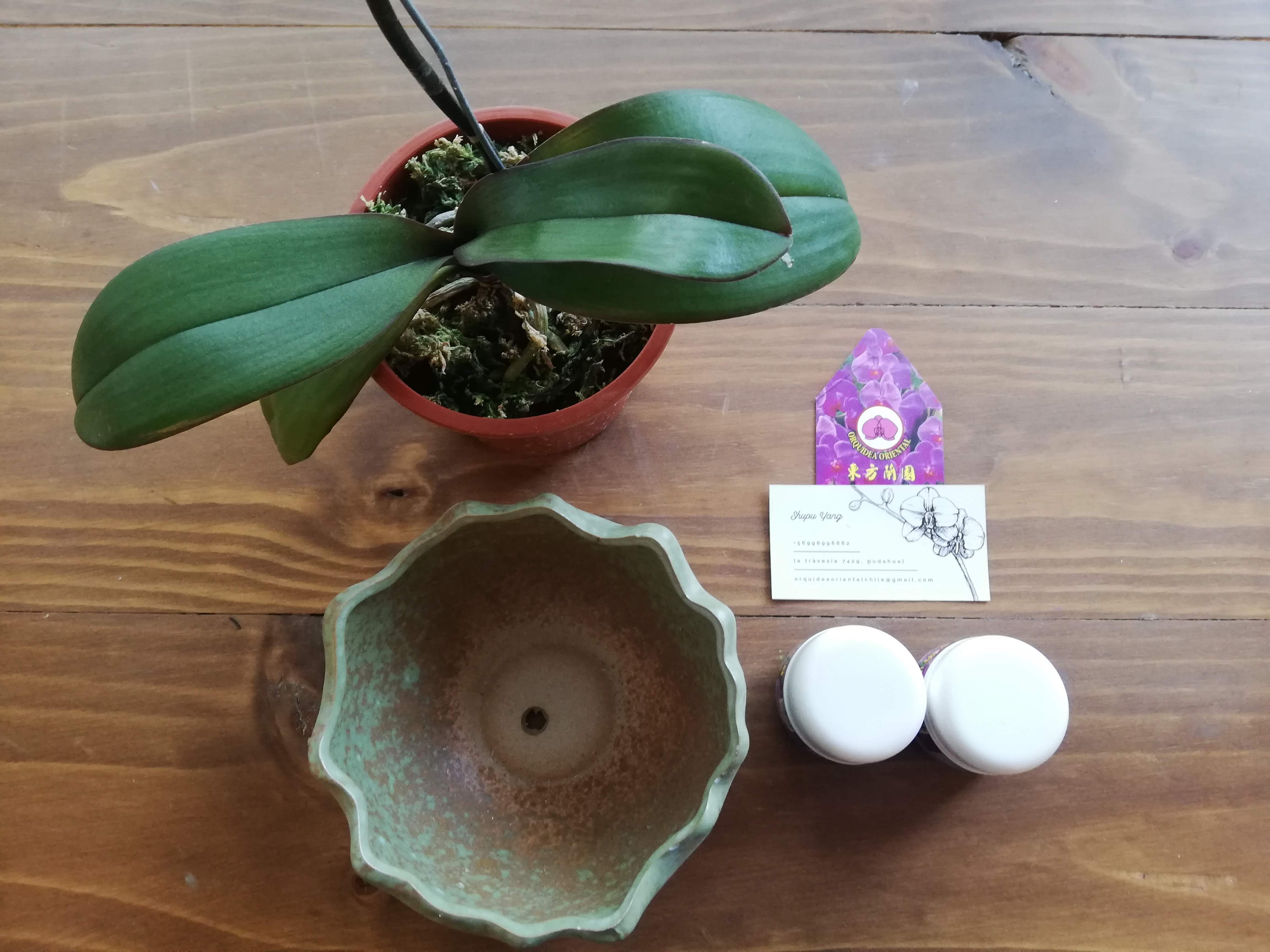 Insumo Cuidado de Orquideas