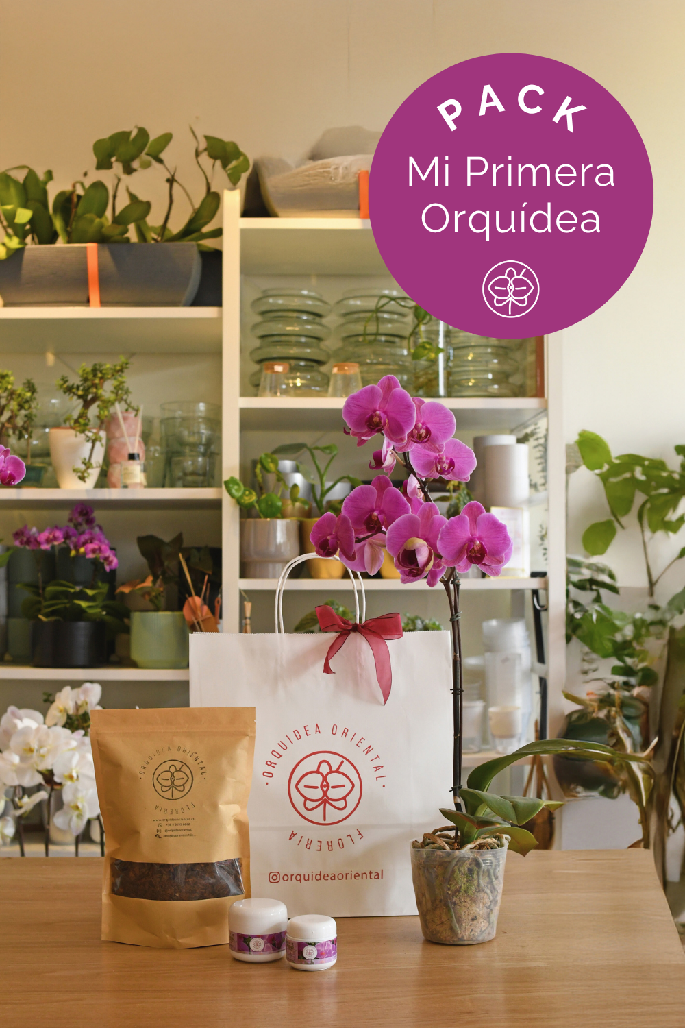 Mi primera orquidea ✨