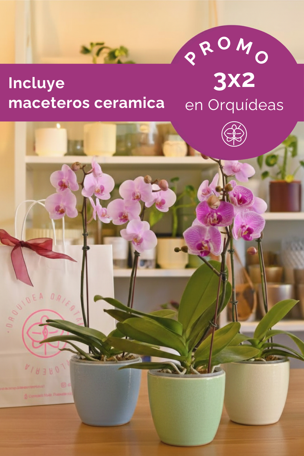 Promo 3x2 en orquideas 🌷 Especial dia mamá 🌷