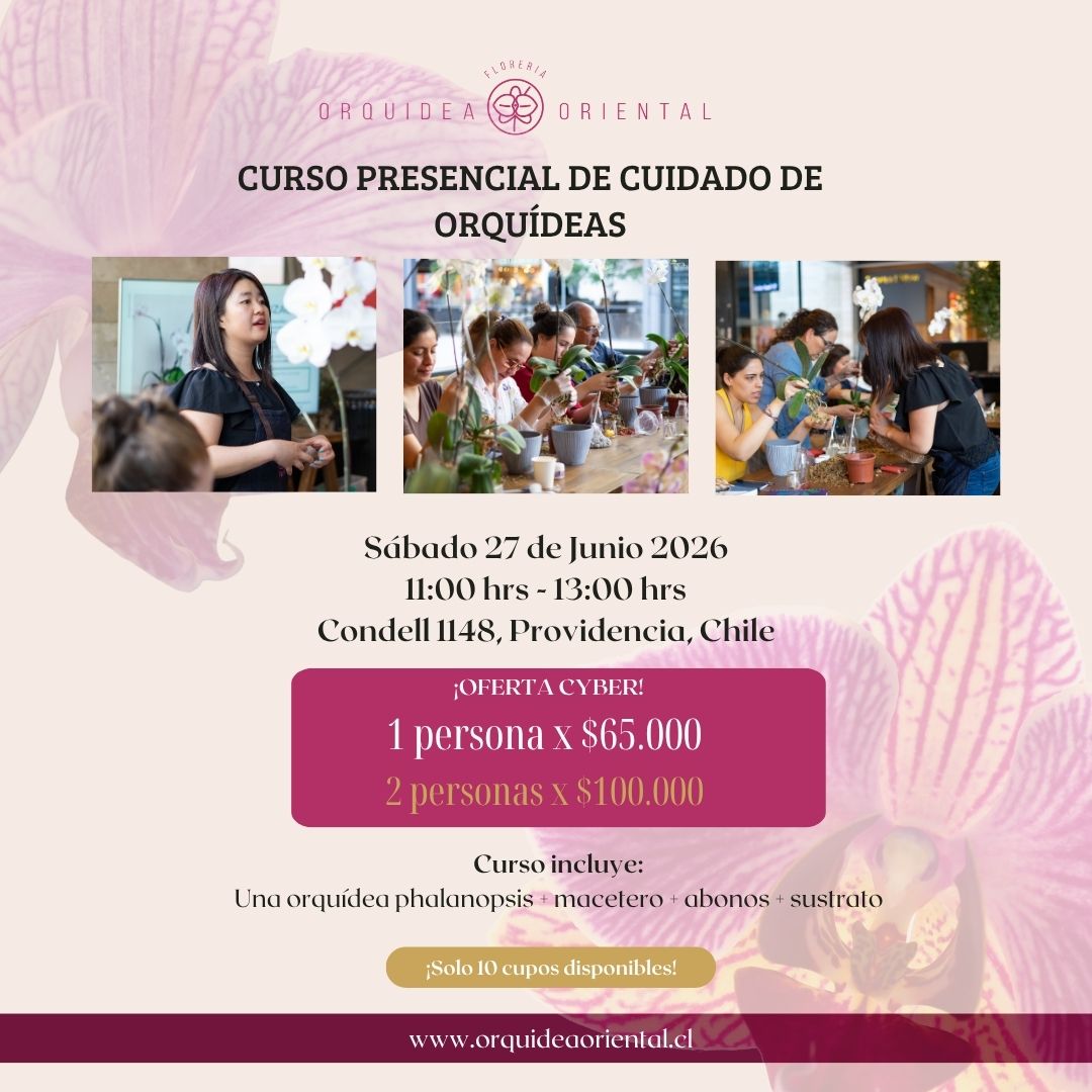 Curso presencial - Sábado 27 de junio 2026 - 11:00 am