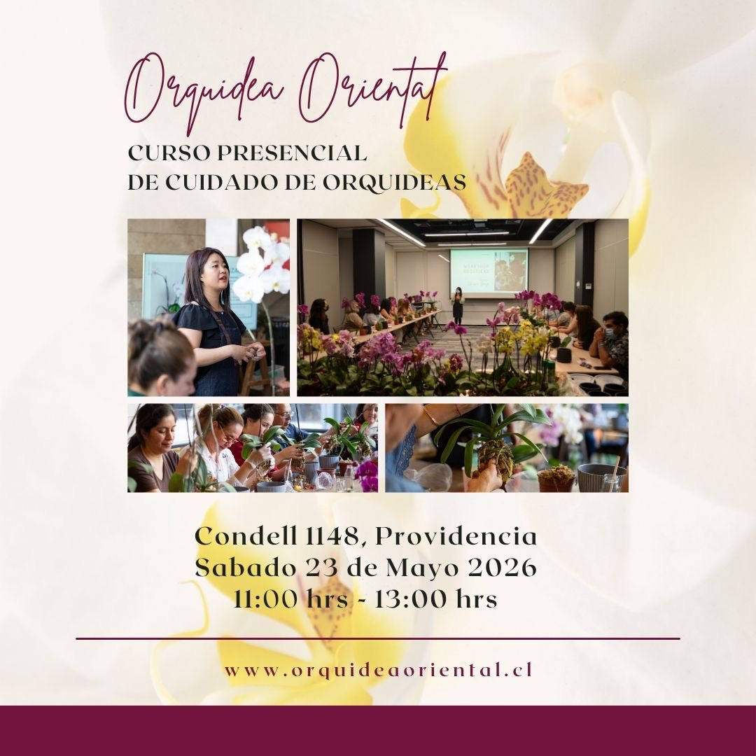 Curso presencial - Sábado 23 de mayo 2026 - 11:00 am