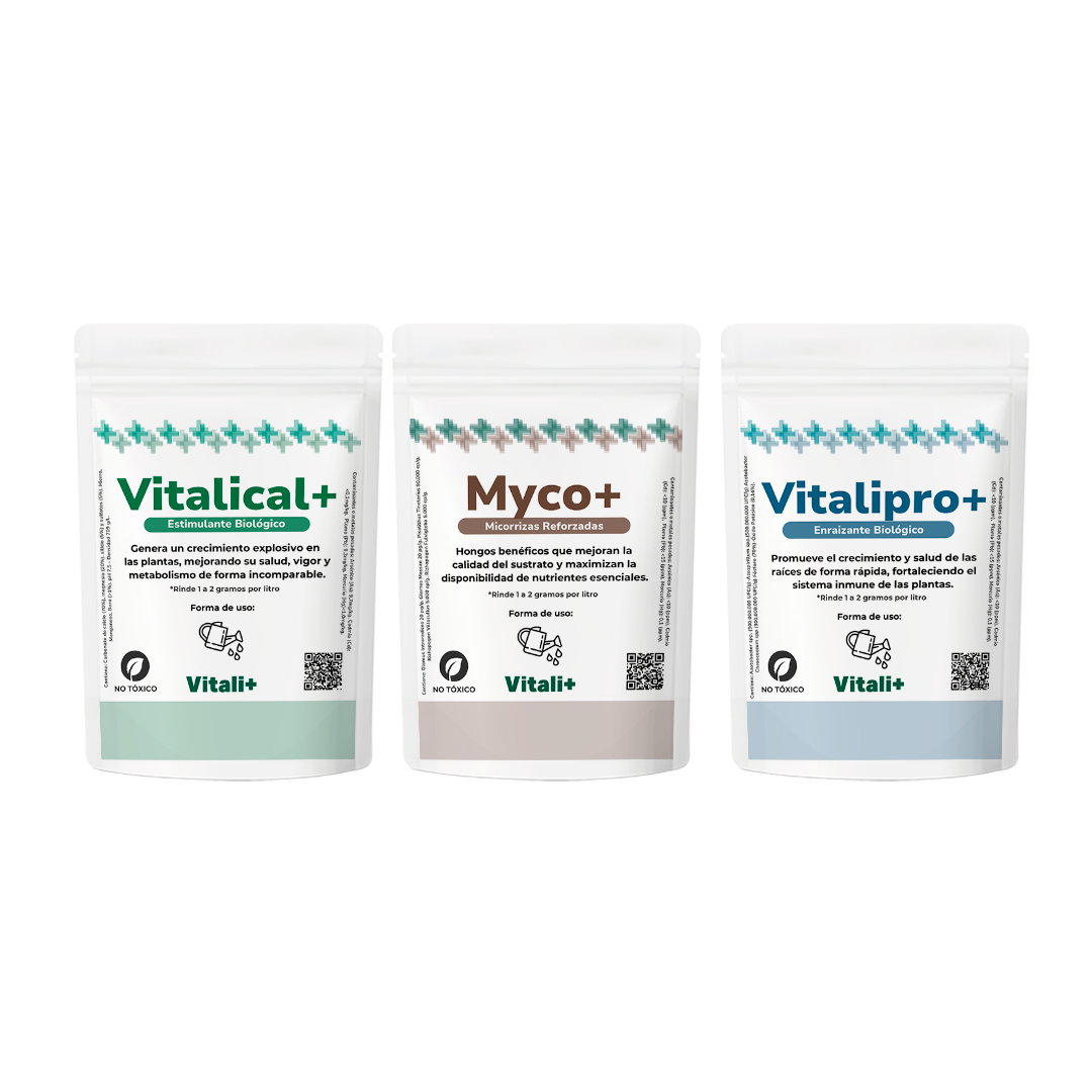Productos Vitali+