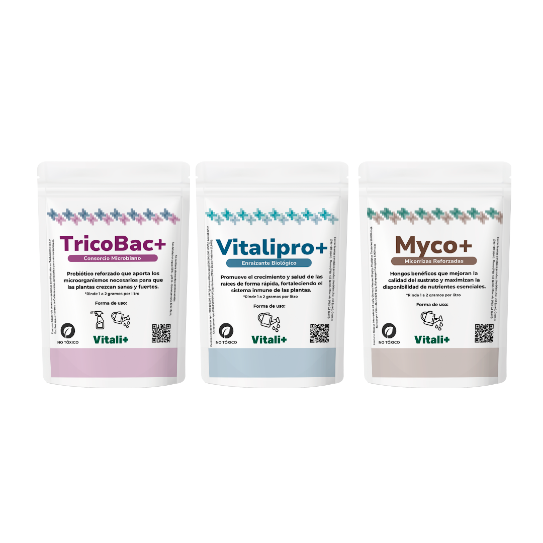 Productos Vitali+
