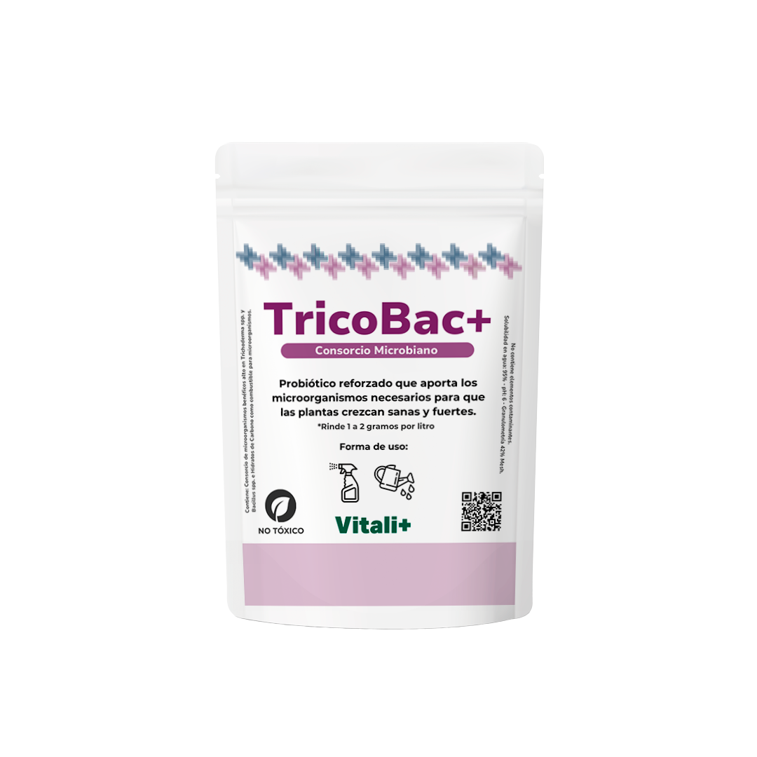 Productos Vitali+