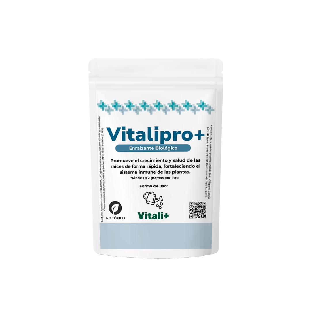 Productos Vitali+