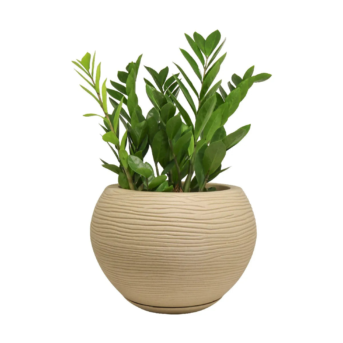 Linha florenca sisal 2