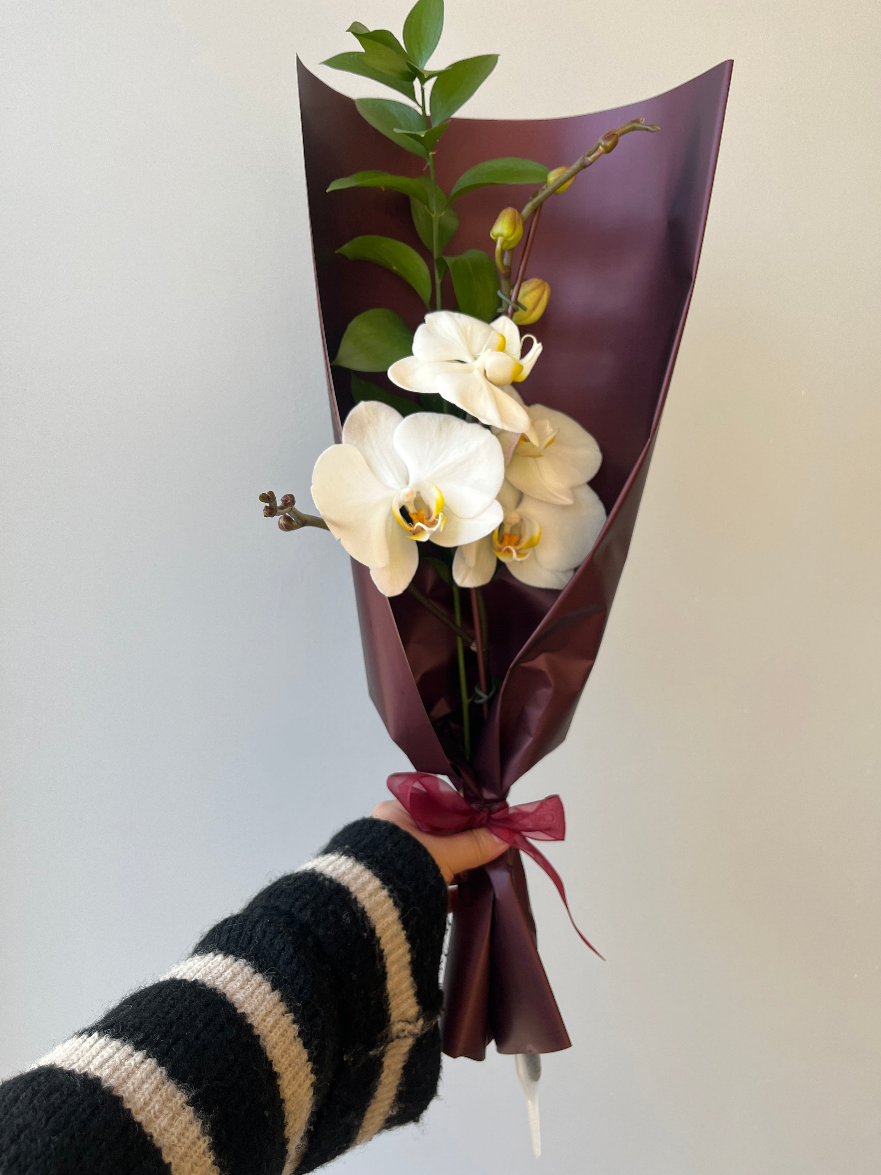 Vara de orquidea