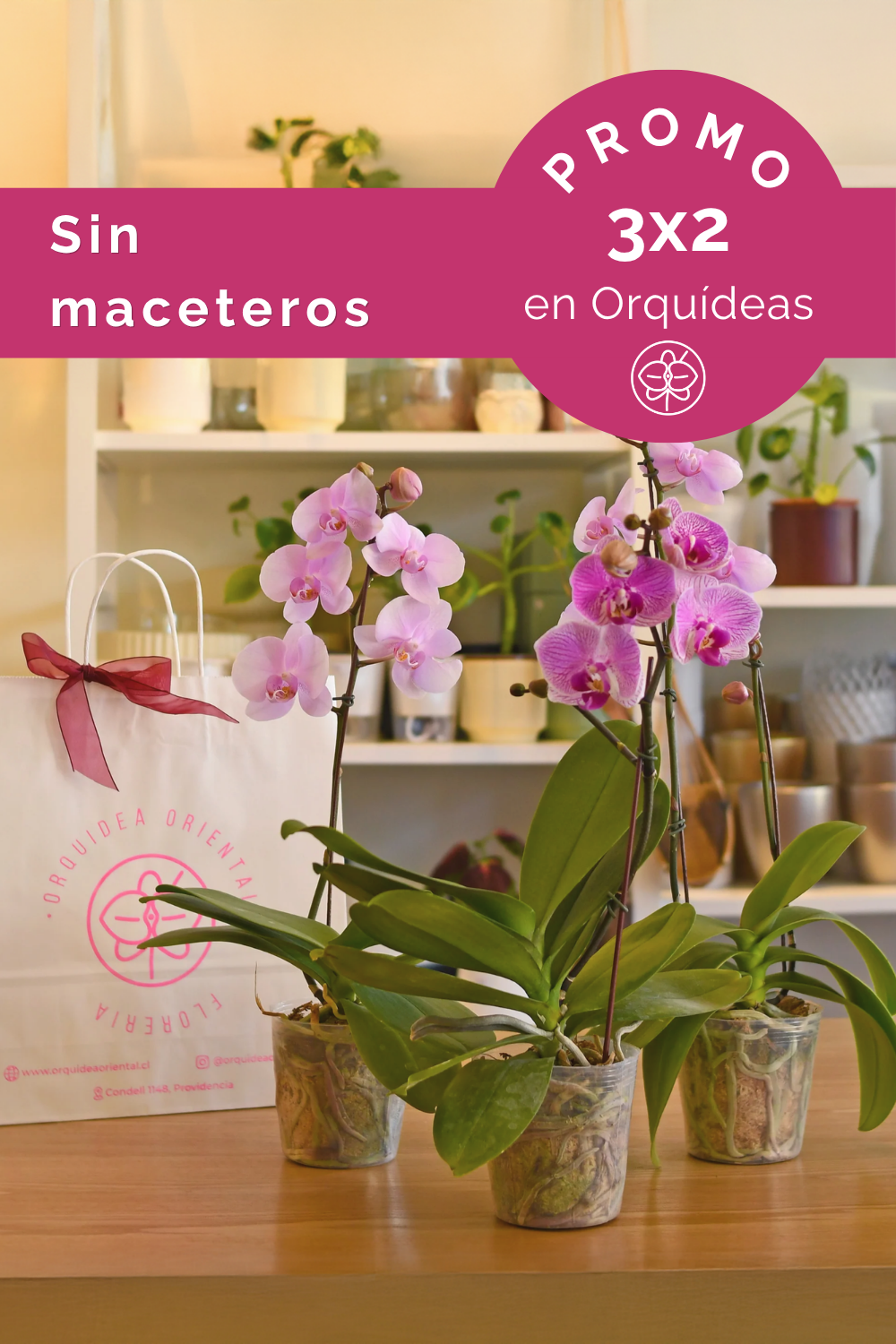 Promo 3x2 en orquideas 🌷 Especial dia mamá 🌷