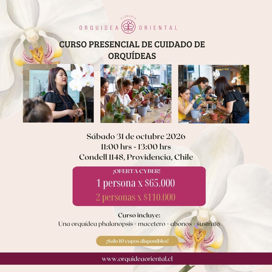 Curso presencial - Sábado 31 de Octubre 2026 - 11:00 am