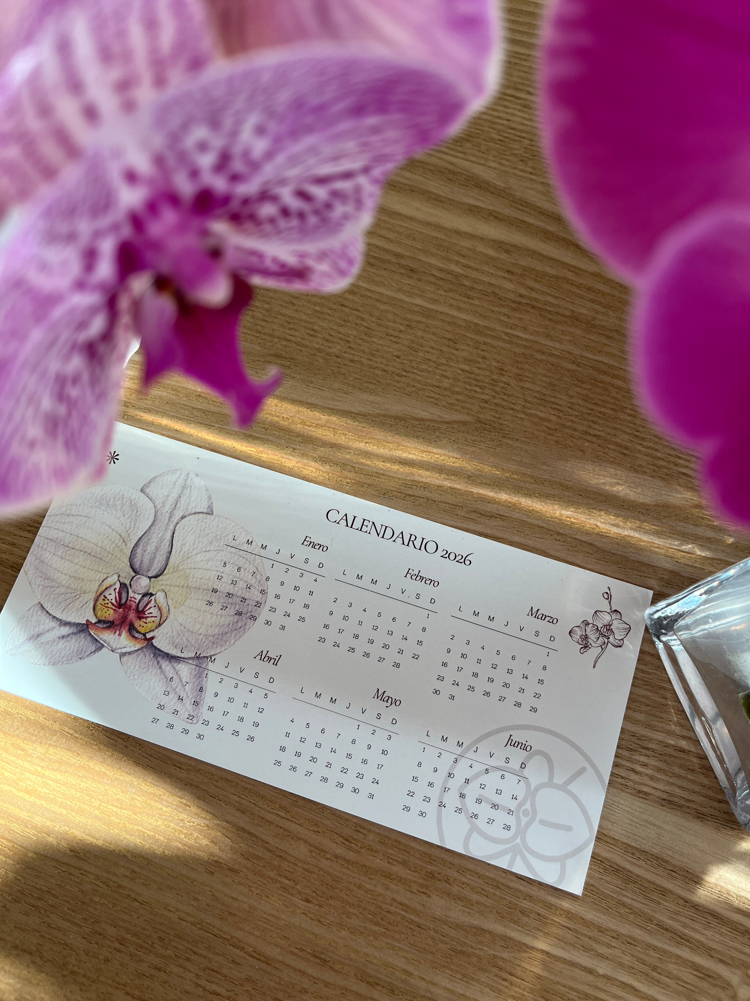 Mi primera orquidea ✨