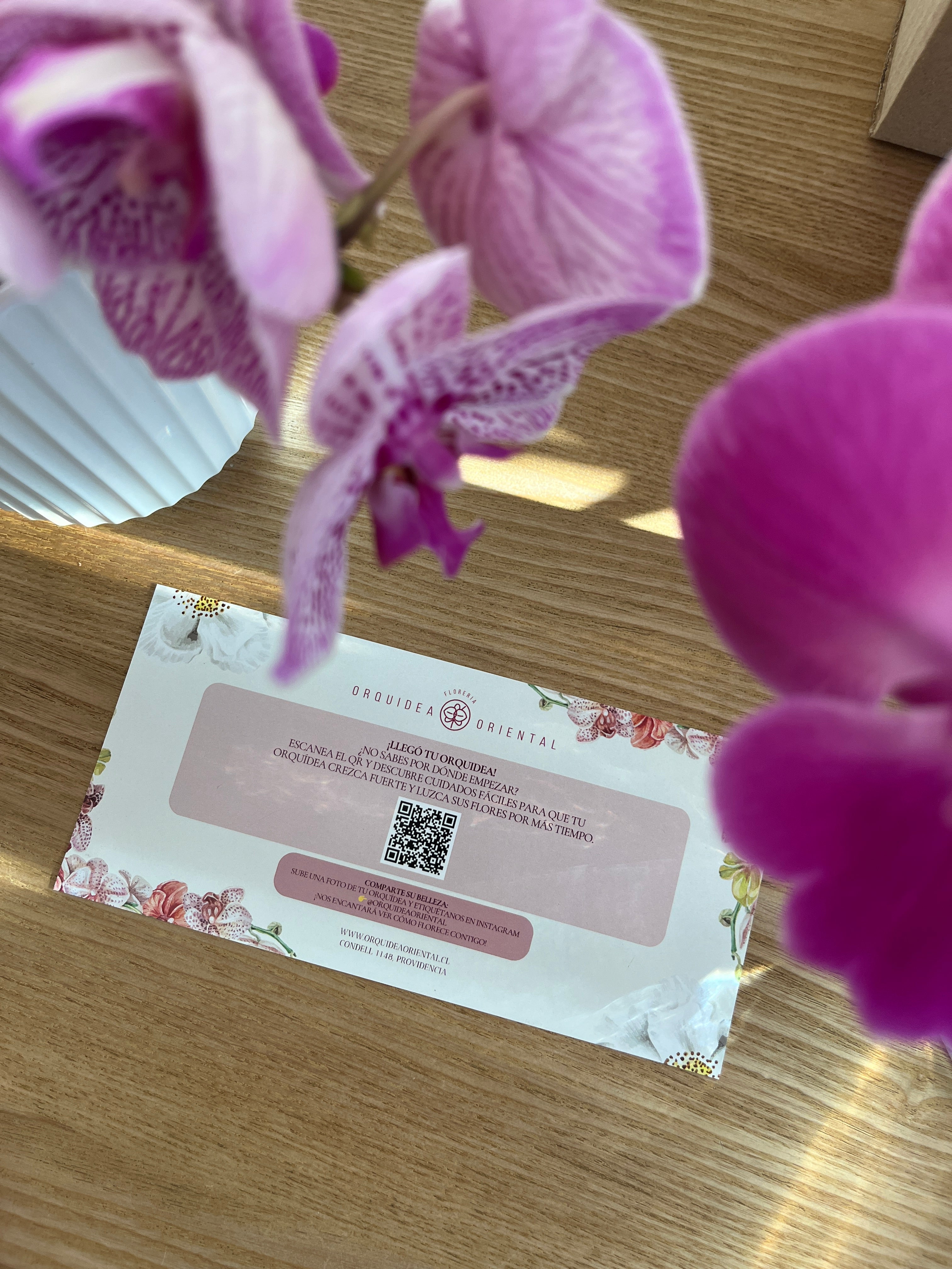 Mi primera orquidea ✨