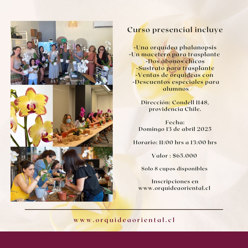 Curso presencial - 17 de mayo 2025- 11:00 am