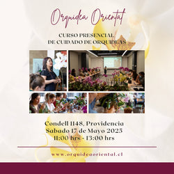 Curso presencial - 17 de mayo 2025- 11:00 am