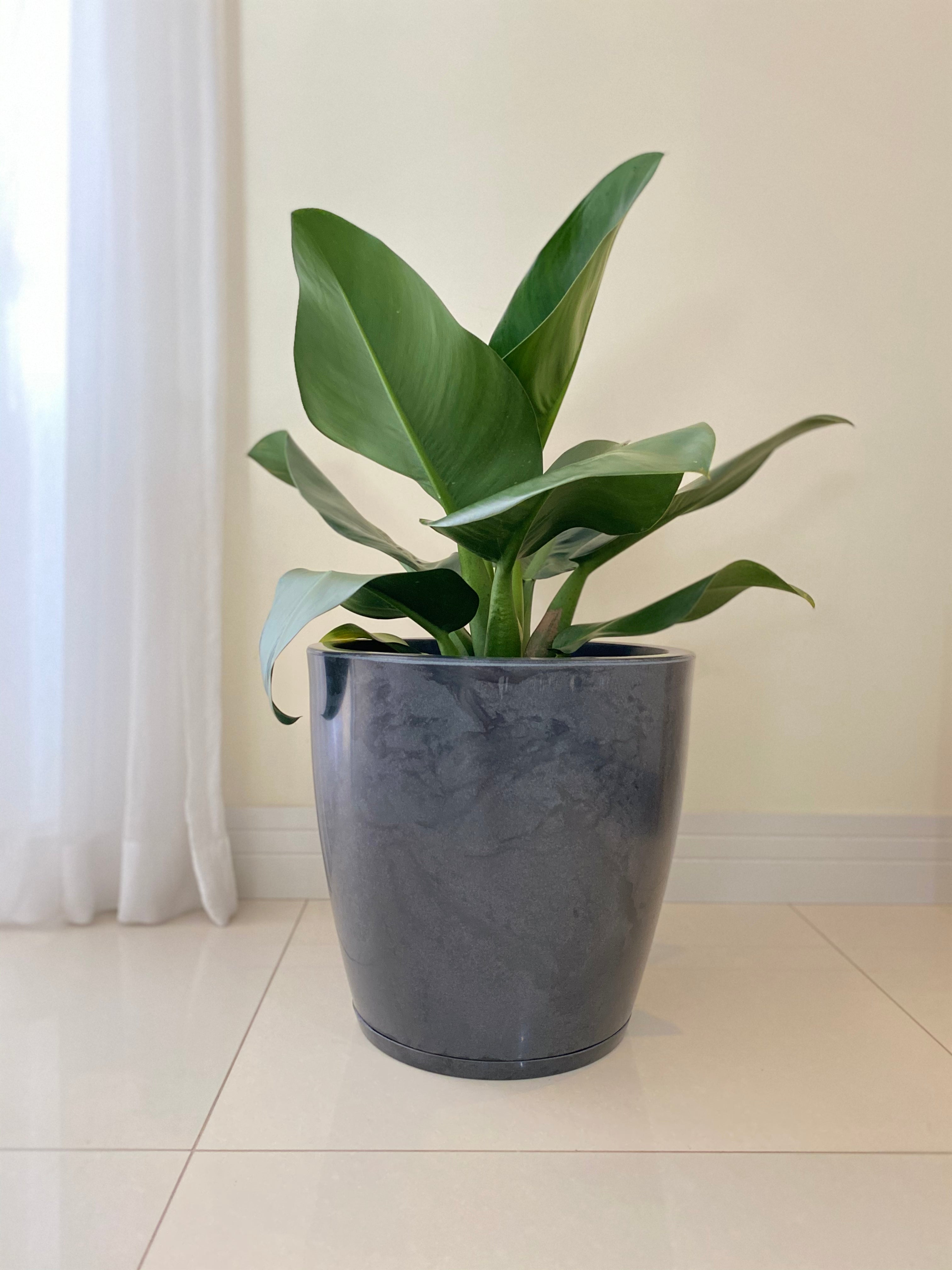 Linha Amsterdam marmolato 1