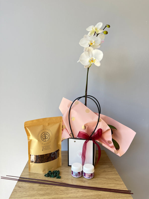 Primera orquidea de mamá🌸
