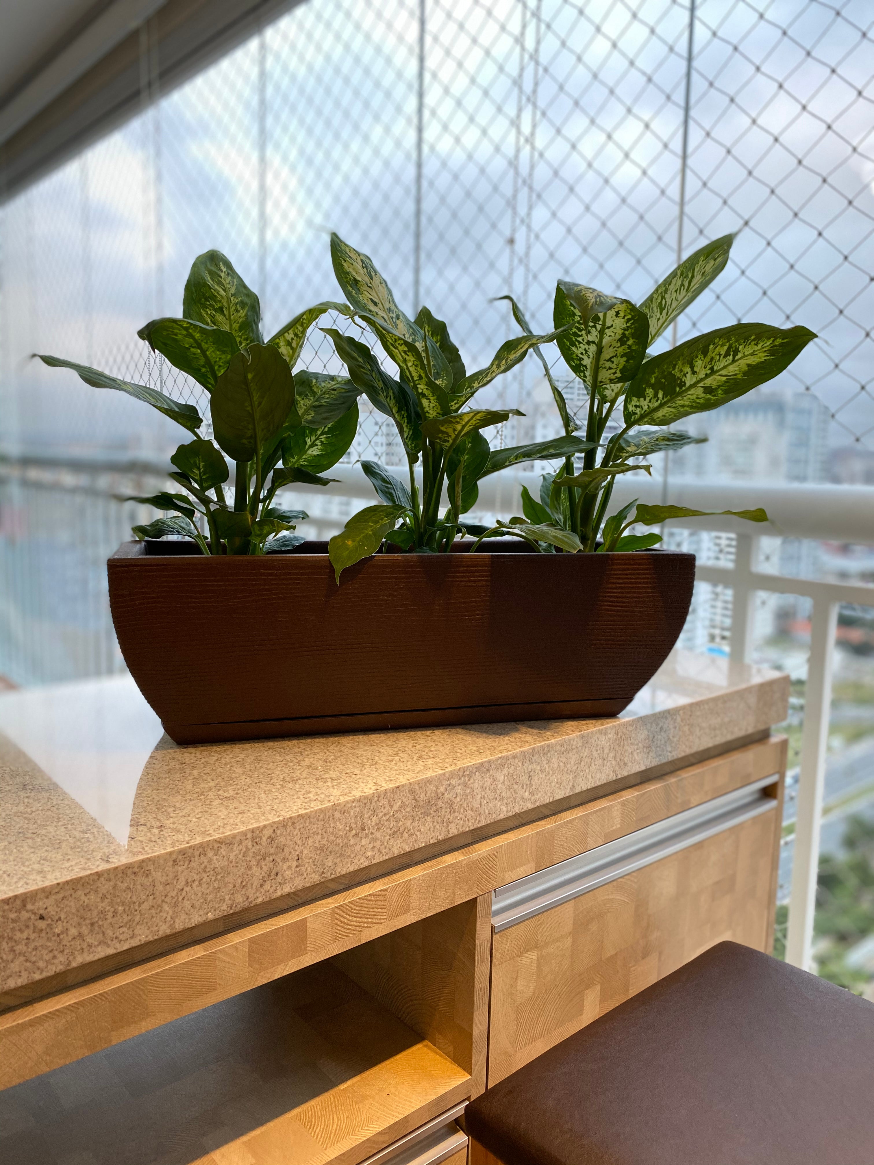 Linha Floreira grafiato 2