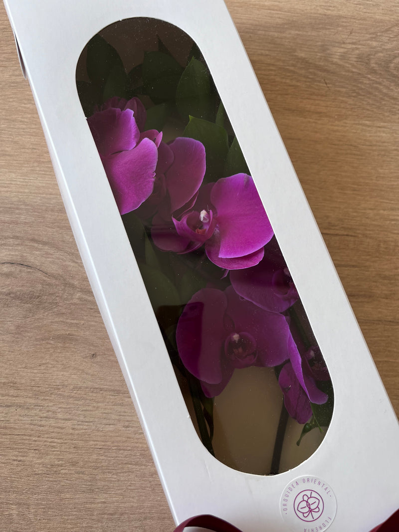 caja larga de orquides