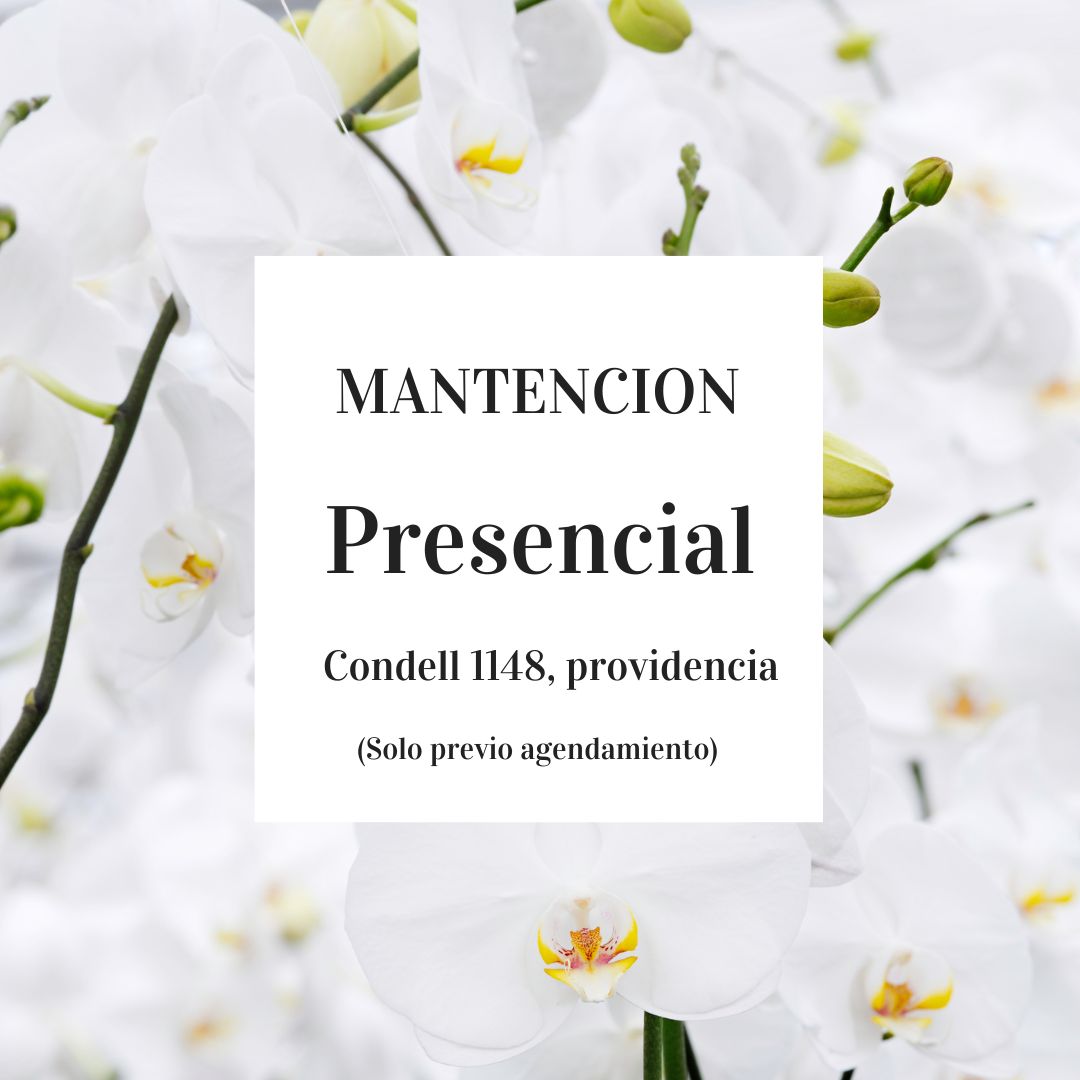 Mantencion de 1 Orquidea Pesencial-Providencia