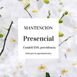 Mantencion Orquideas Pesencial-Providencia
