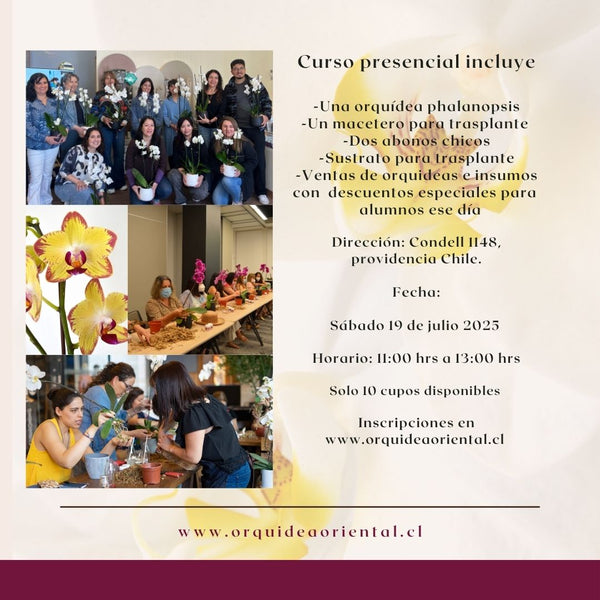 Curso presencial - 19 de julio 2025- 11:00 am