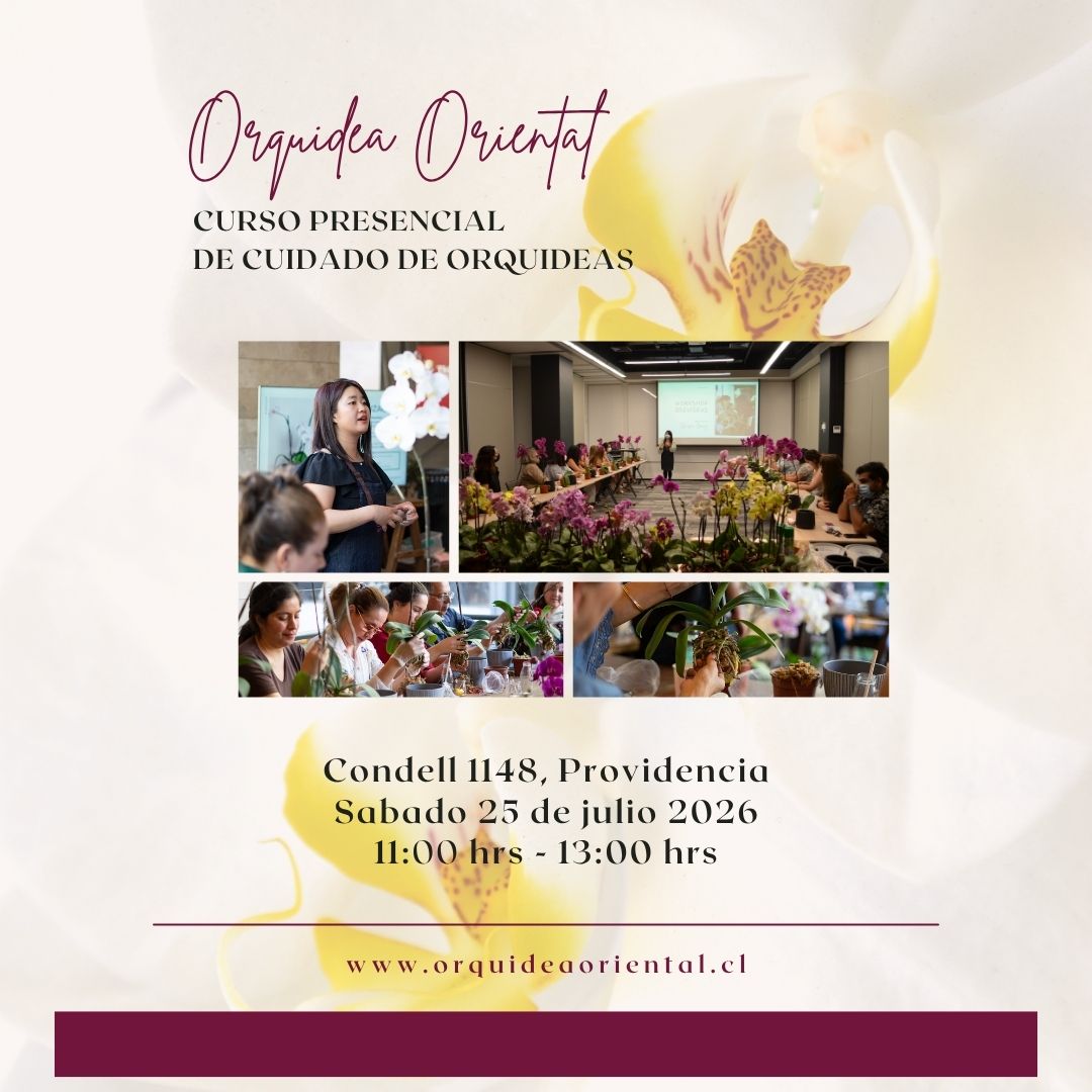 Curso presencial - Sábado 25 de julio 2026 - 11:00 am