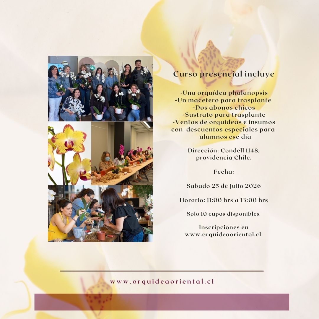 Curso presencial - Sábado 25 de julio 2026 - 11:00 am