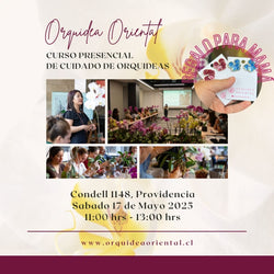 Curso presencial - Edición especial día de la madre 😍  Sábado 17 de mayo 2025- 11:00 am 🌸REGALO 1 AROS DE ORQUIDEAS🌸