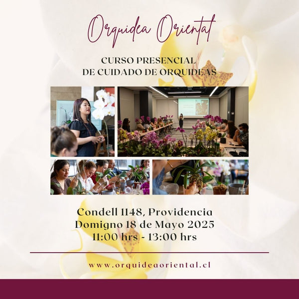 Curso presencial - 18 de mayo 2025- 11:00 am