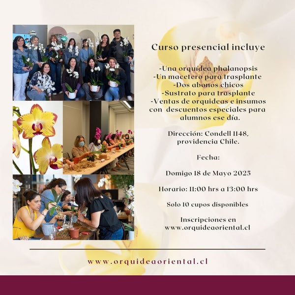 Curso presencial - 18 de mayo 2025- 11:00 am