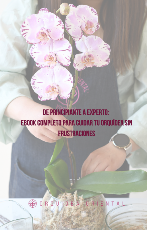 De Principiante a Experto: Ebook Completo para Cuidar tu Orquídea sin Frustraciones