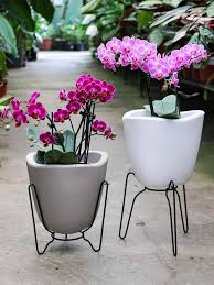 Linha Tryas Cachepot