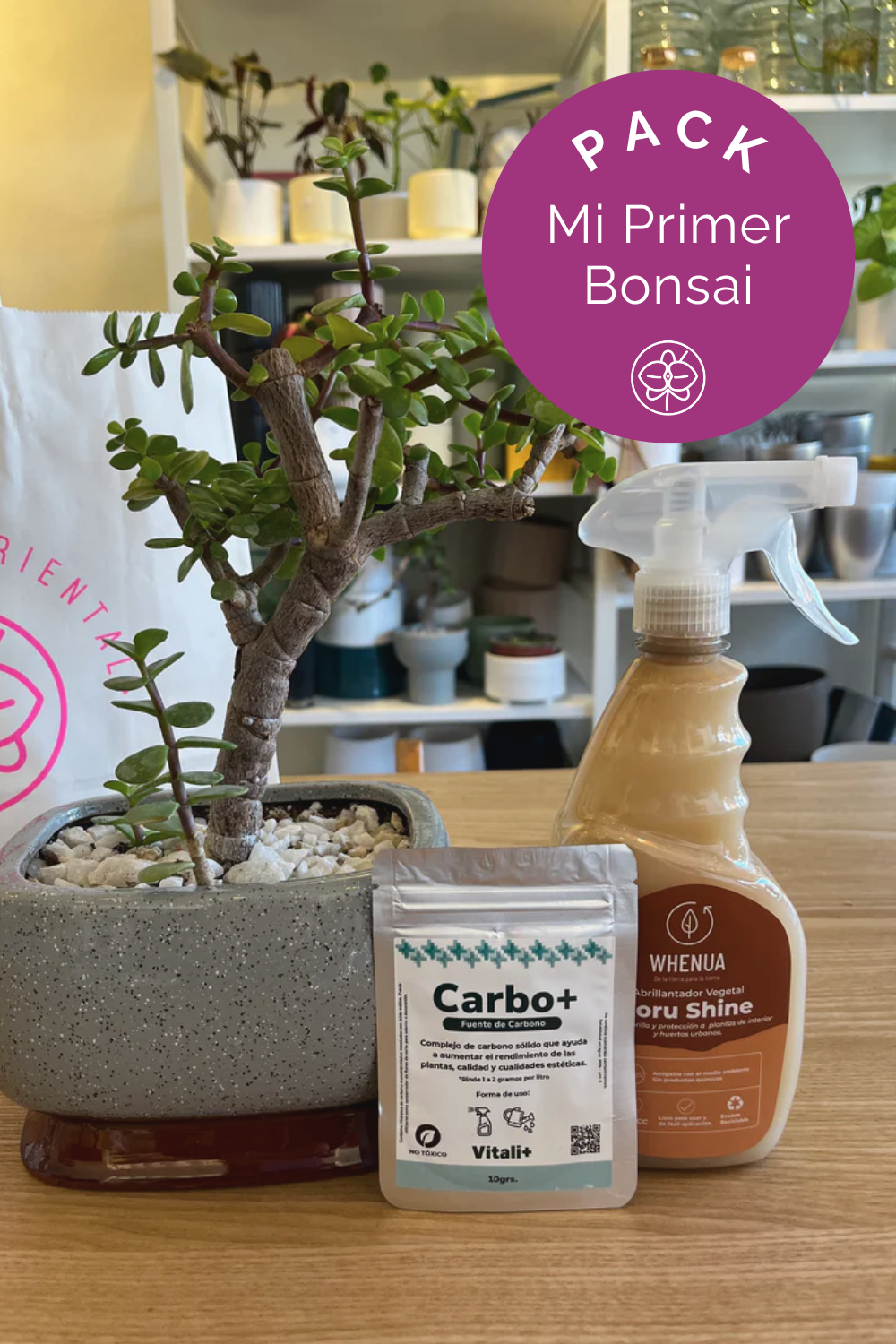 Pack mi primer Bonsai