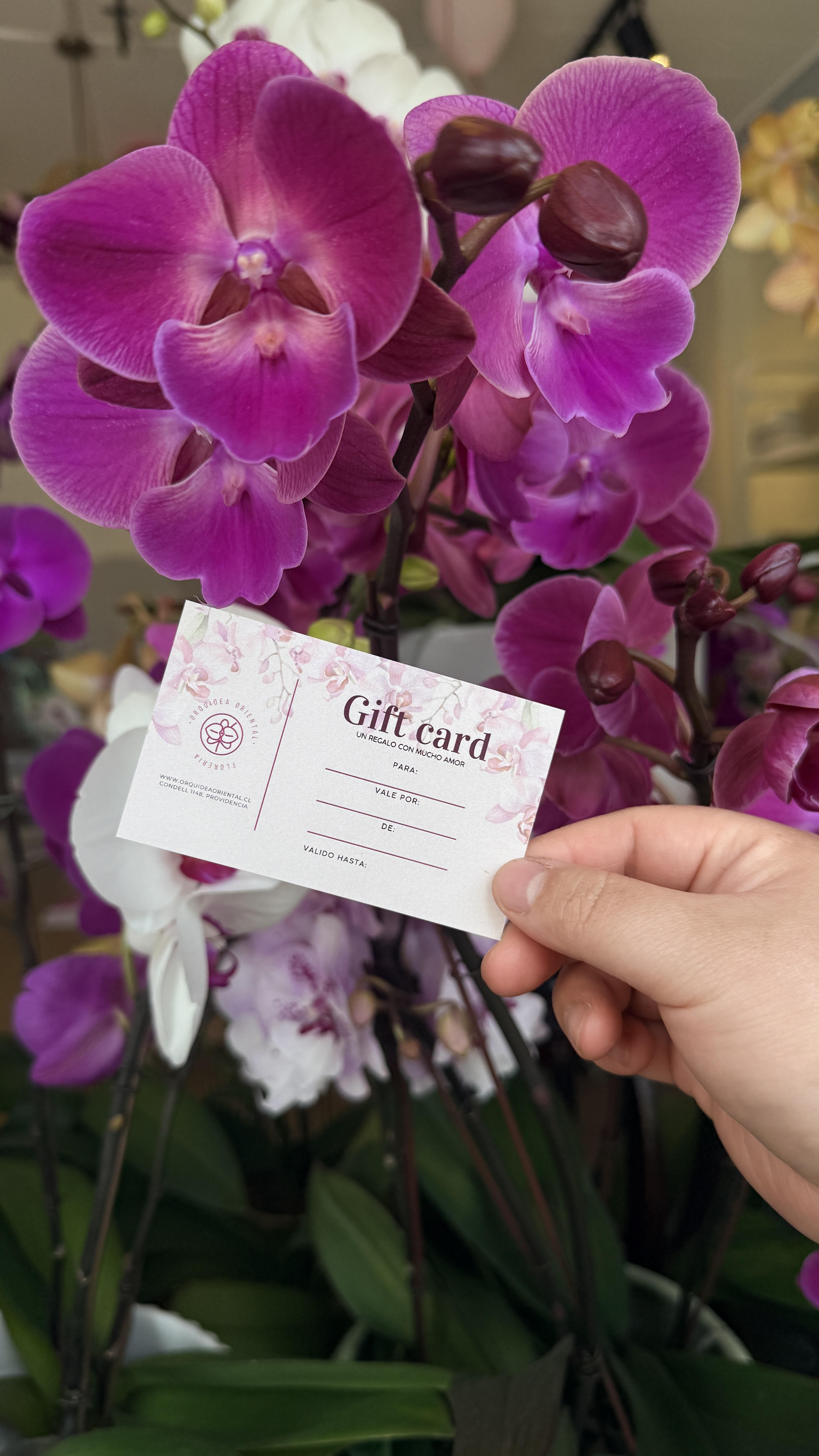 Gift Card Orquídea Oriental