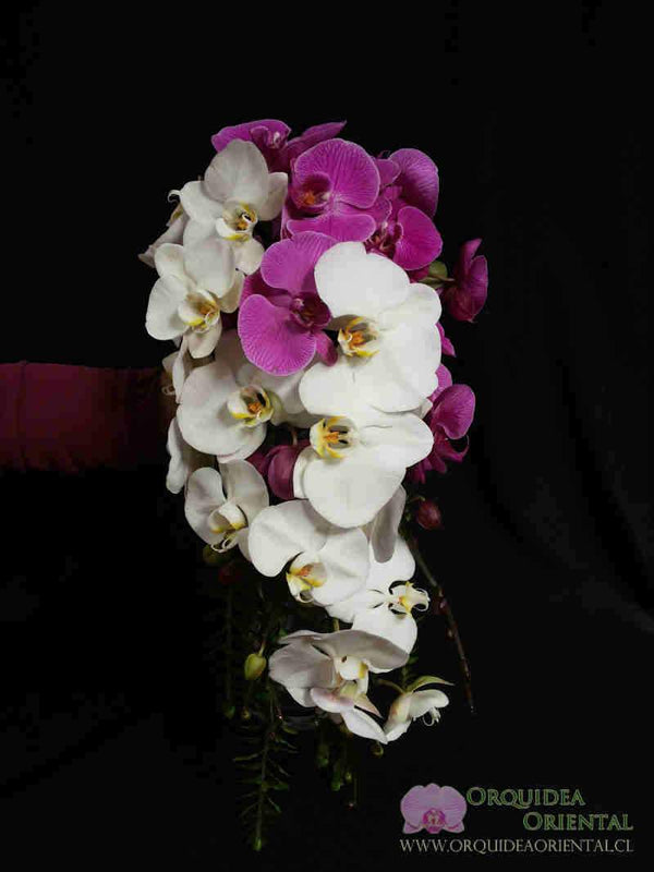 Ramo de novia cascada orquideas