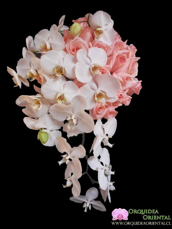 Ramo de novia cascada orquideas con rosas