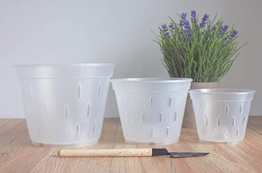 Set de macetero transparente especial para orquideas
