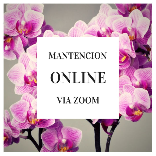 Mantencion Online